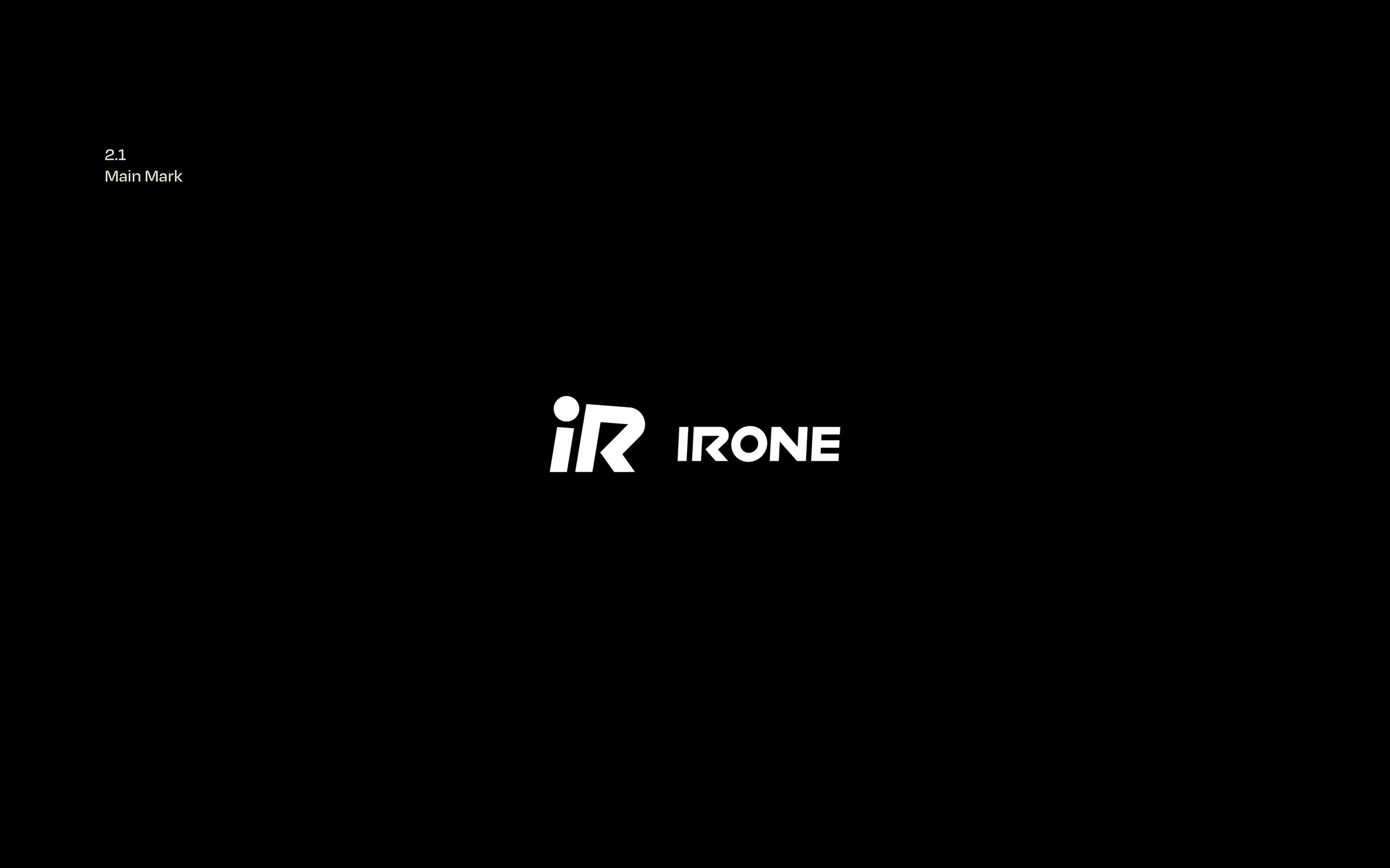 IRONE 9