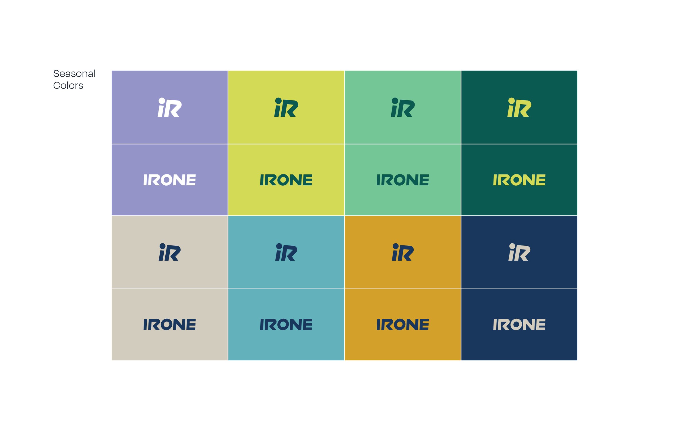 IRONE 17