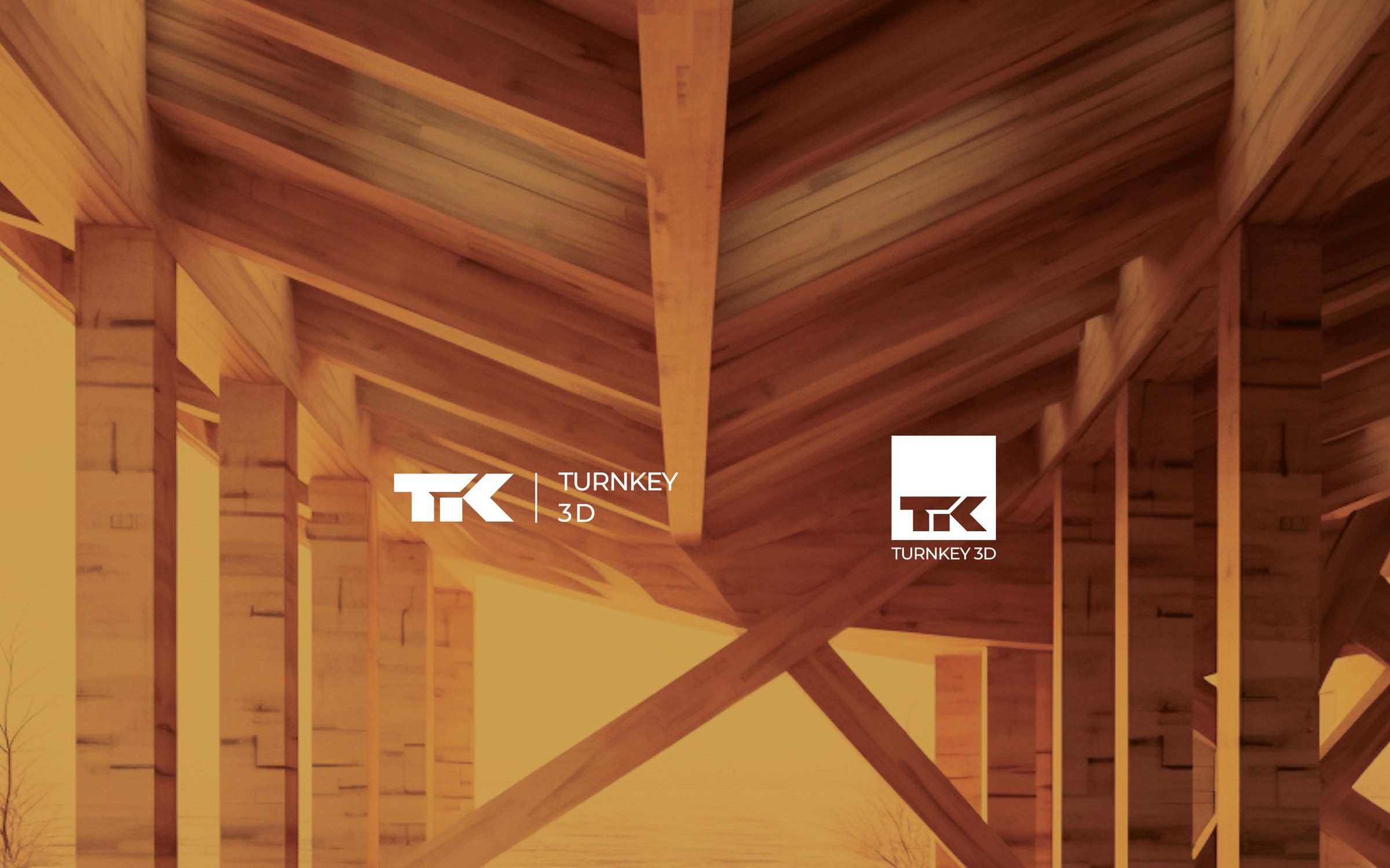 Turnkey 3D 12
