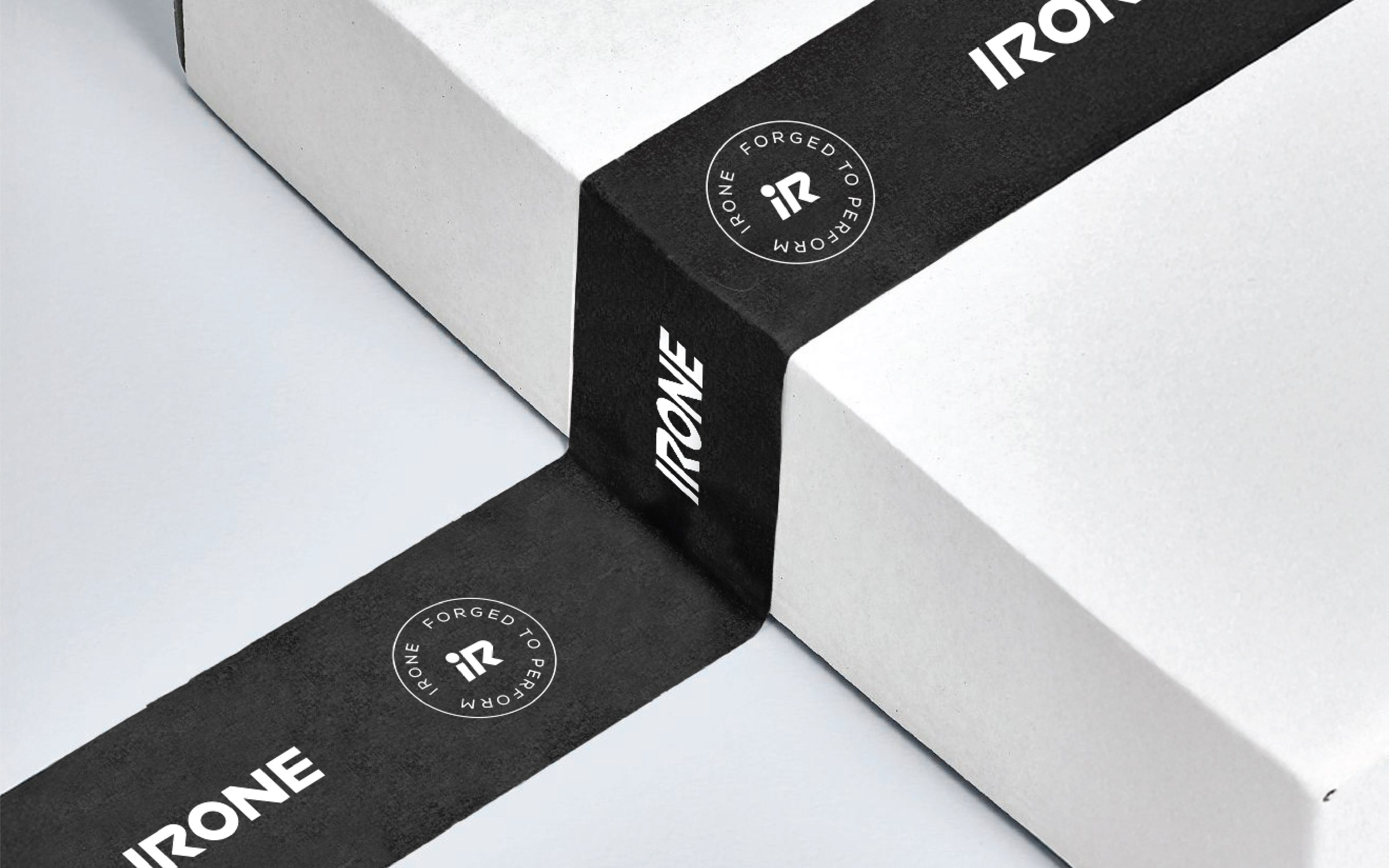 IRONE 41